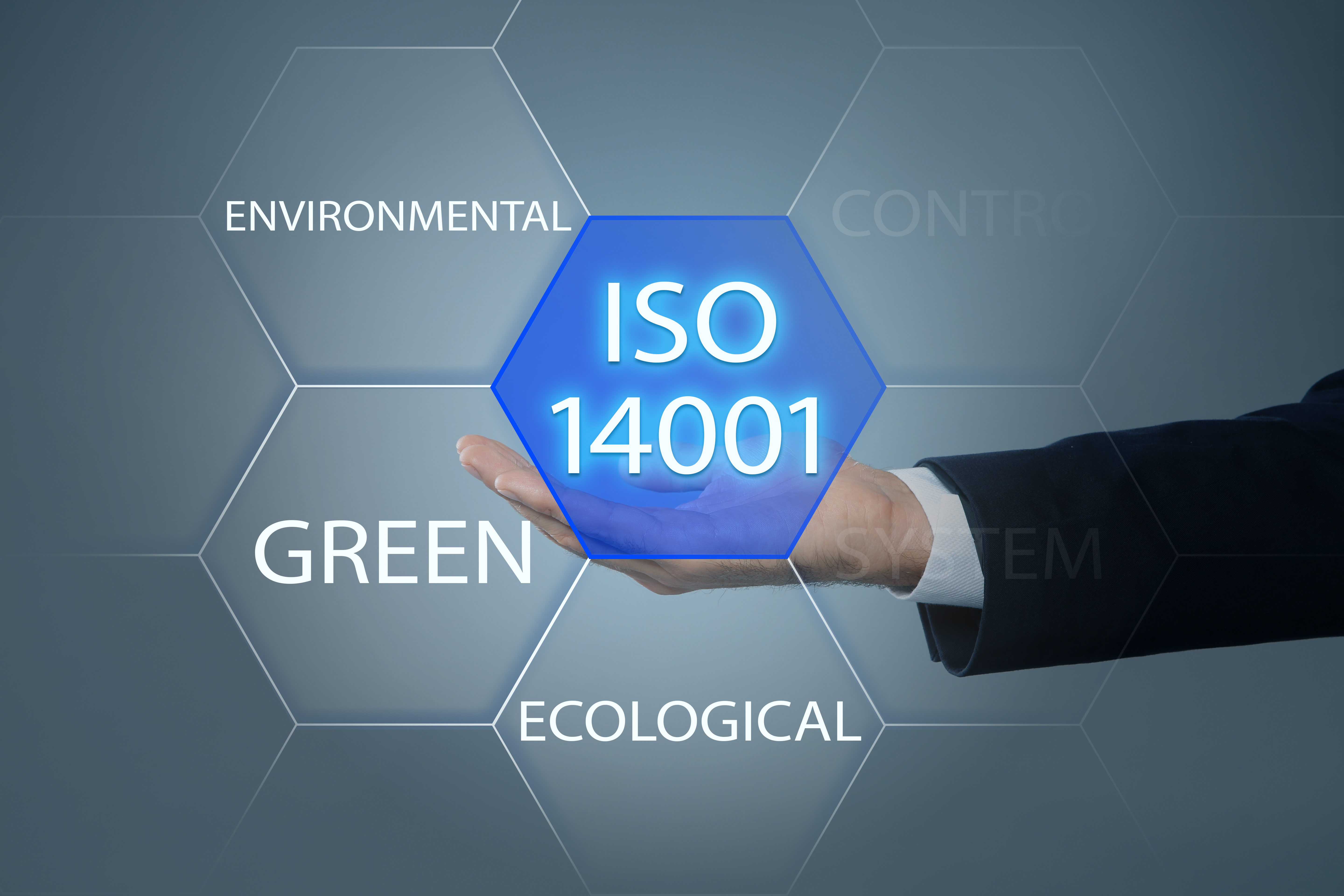 Curso sobre Auditorías de ISO 14001 para Auditor Líder
