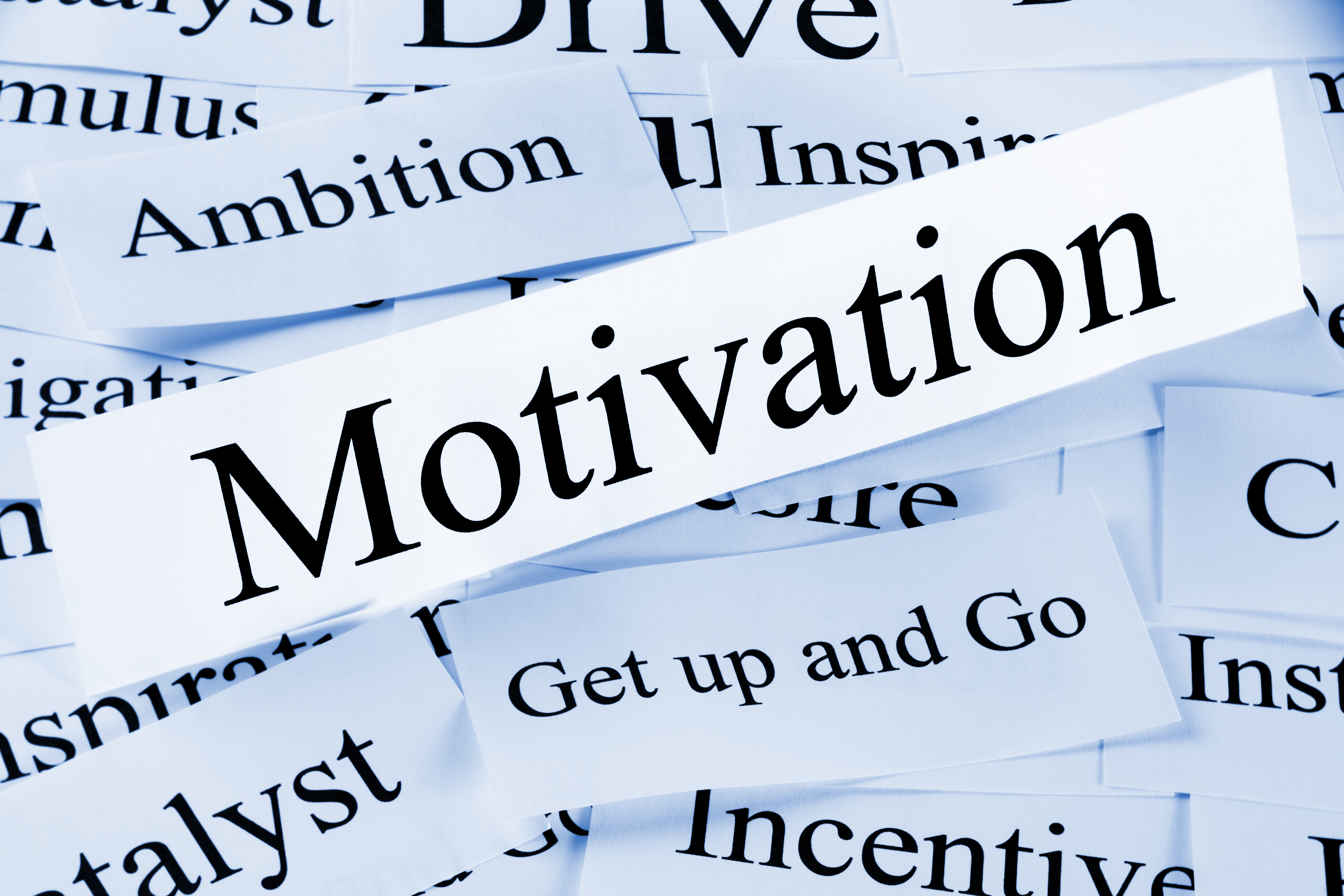 Motivation to Work (Sense of Belonging) Workshop