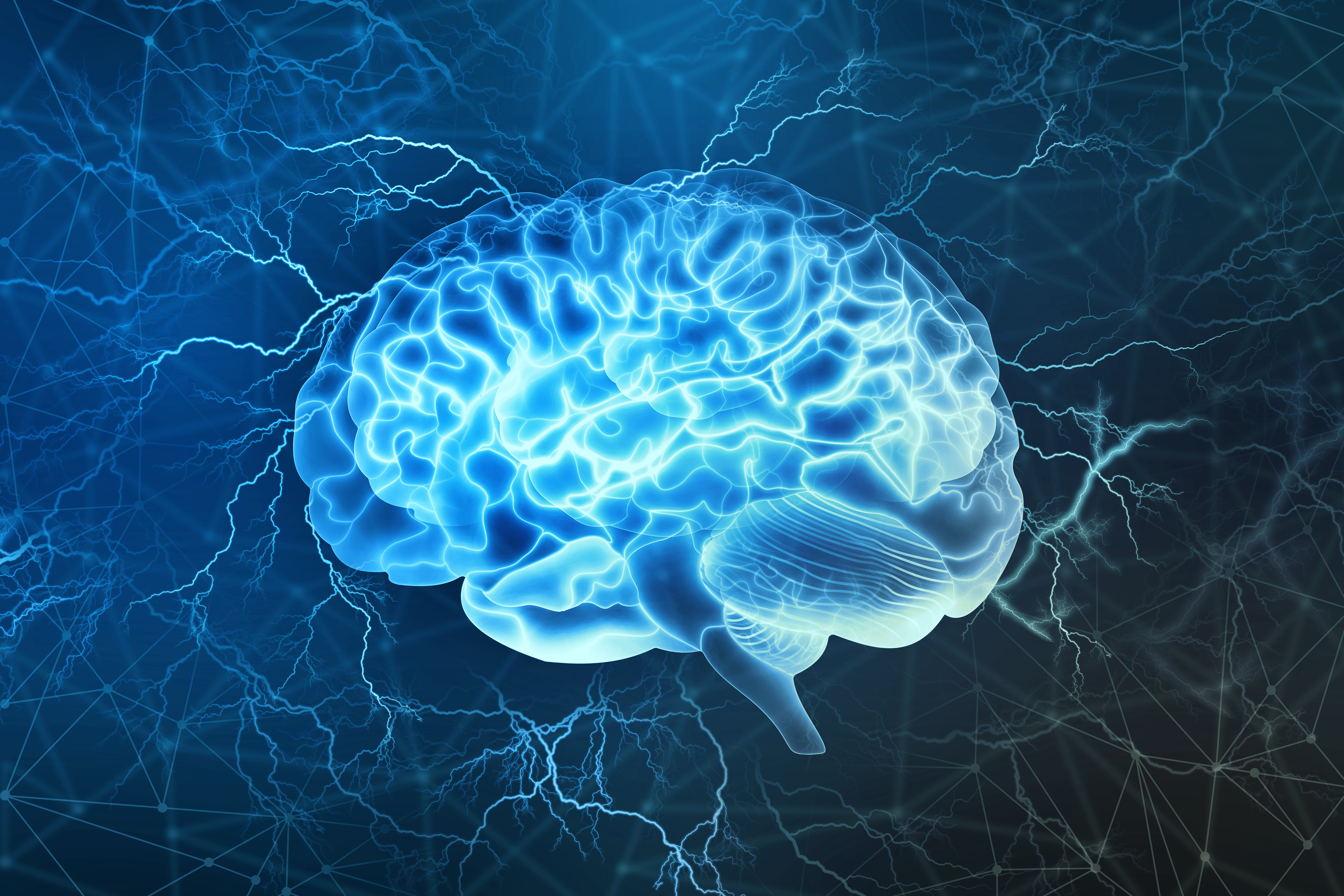 Taller sobre Neuromanagement